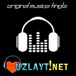 Uzlayt.net, Uzlayt.net