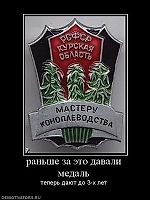 Сергей Волуйский, Сергей Волуйский