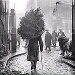 Артем Соловьев, Артем Соловьев