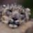 Ildar_k90