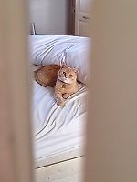 Олег Давыдкин, Олег Давыдкин Олег Давыдкин, Олег Давыдкин