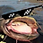 CoMoBo3