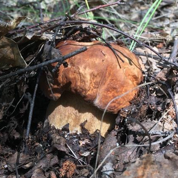 Сергей Чернышов_1116717872