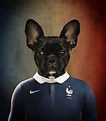 Овручанин, Овручанин