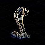 Roman Popov, Roman Popov