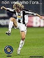 Алексей Спиренков, Алексей Спиренков