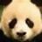PandaBarca