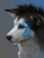 Wolfy, Wolfy