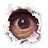 alexim