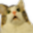 Ghostnapoli