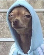 Роман Попов, Роман Попов