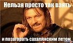 kotenok86, kotenok86