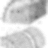 Evgen_tut