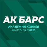 Академия хоккея Ак Барс, Академия хоккея Ак Барс