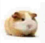 Metapharstic, Metapharstic