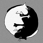 Анна Белая, Анна Белая