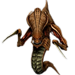 zerggusha, zerggusha