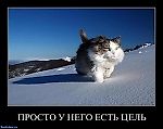 xakpyc, xakpyc