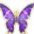 caterpillar