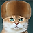 Минский.