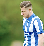 consilio et animis, consilio et animis