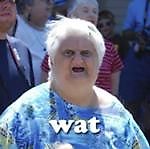 Александр Бочек, Александр Бочек