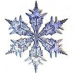 Луизиана, Луизиана