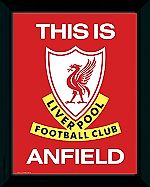 Red_Midfielder, Red_Midfielder