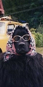 fashionjiv, fashionjiv