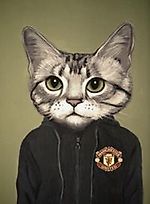 United_football, United_football