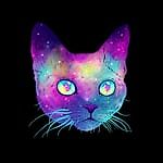 nayTuHbl4, nayTuHbl4