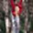 Denis_litvin