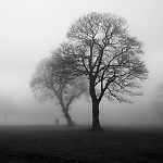 Olga Bloshchitsyna, Olga Bloshchitsyna