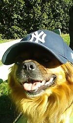 VATE & VATE, VATE & VATE