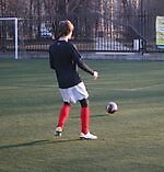 Le Tallec, Le Tallec