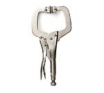 Асанояма, Асанояма