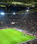 Евгений Каменецкий, Евгений Каменецкий