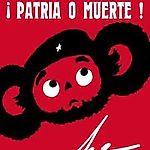 Раствор коварен!, Раствор коварен!
