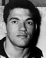 rino-2010, rino-2010