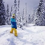 Mr bakster, Mr bakster