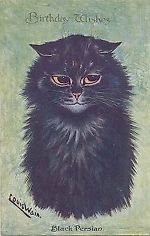 Andrew Van Der Drew, Andrew Van Der Drew