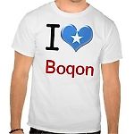 boqonoid, boqonoid