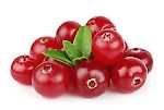 cranberry, cranberry
