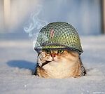 Рукаку Кремля, Рукаку Кремля Рукаку Кремля, Рукаку Кремля