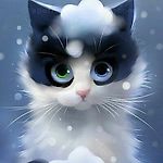 @murushka@777, @murushka@777 @murushka@777, @murushka@777