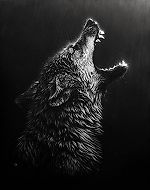 vovan76rus, vovan76rus