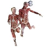 naked_football, naked_football