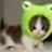 Nelly-
