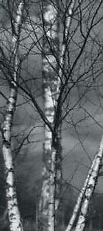 почти весной.., почти весной..