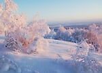 December Northern, December Northern
